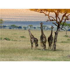 CALVENDO Puzzle CALVENDO Puzzle Faszination Safari. Wildlife in Kenia Пазл CALVENDO Puzzle Очарование Сафари. Дикая природа в Кении