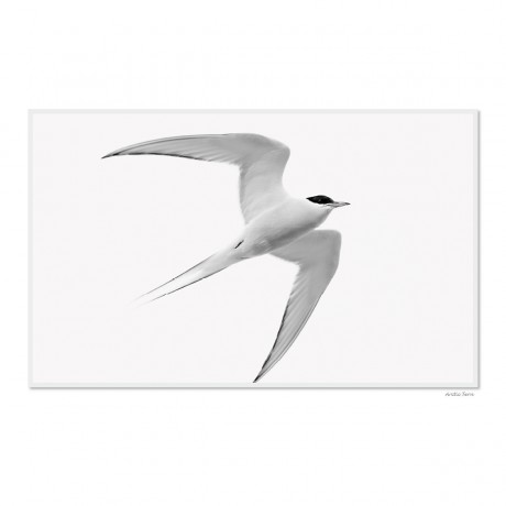 CALVENDO Puzzle CALVENDO Puzzle Emotional Moments: Spitsbergen Svalbard UK-Version Пазл CALVENDO Puzzle Emotional Moments: Spitsbergen Svalbard UK version