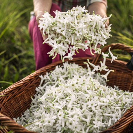 DIOR Infinissime  бесконечность