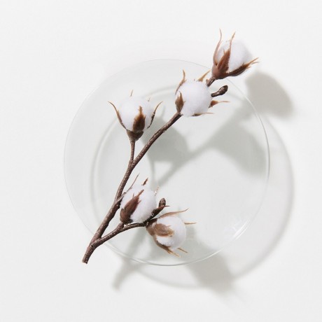 Schwarzkopf Professional Maske  маска