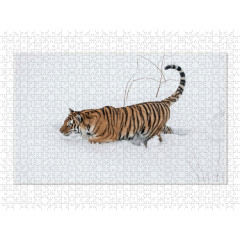 CALVENDO Puzzle CALVENDO Puzzle Emotionale Momente: Tiger Пазл CALVENDO Puzzle Эмоциональные моменты: тигр