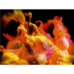 CALVENDO Puzzle CALVENDO Puzzle Flamenco Пазл CALVENDO Пазл Фламенко