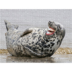 CALVENDO Puzzle CALVENDO Puzzle Emotionale Momente: Lachen ist gesund. Пазл CALVENDO Пазл Эмоциональные моменты: Смех полезен.