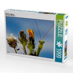 CALVENDO Puzzle CALVENDO Puzzle Mantis religiosa Пазл CALVENDO Puzzle Mantis religiosa