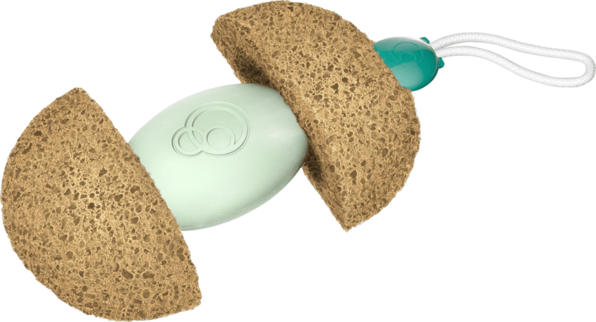 Foamie Schwamm mit Duschpflege Aloe Spa Губка для ванной Алоэ СПА, 1 шт.