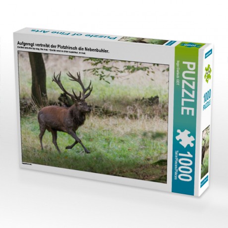 CALVENDO Puzzle CALVENDO Puzzle Aufgeregt vertreibt der Platzhirsch die Nebenbuhler. Головоломка CALVENDO Puzzle В возбуждении главный пес прогоняет соперников.