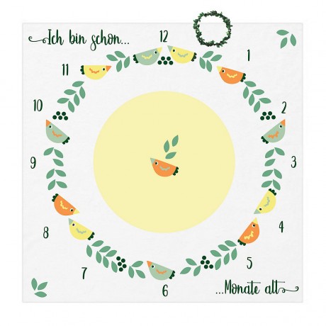 Fantifant Meilenstein-Fotodecke fur Babys Детское фотоодеяло Milestone