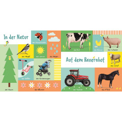 Dorling Kindersley Verlag 100 erste Worter 100 первых слов