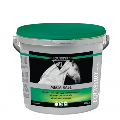 EQUISTRO SET: Mega Base Junior 1000ml + MEGA BASE 3kg, Набор для лошадей Equistro: Mega Base Junior 1 л + Mega Base 3 кг, жидкость + порошок, для роста, развития и ежедневного баланса лошадей и жеребят, комплекс витаминов и минералов