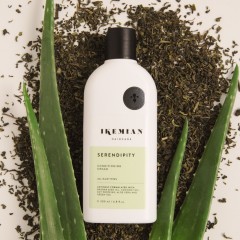 IKEMIAN Serendipity  Интуиция