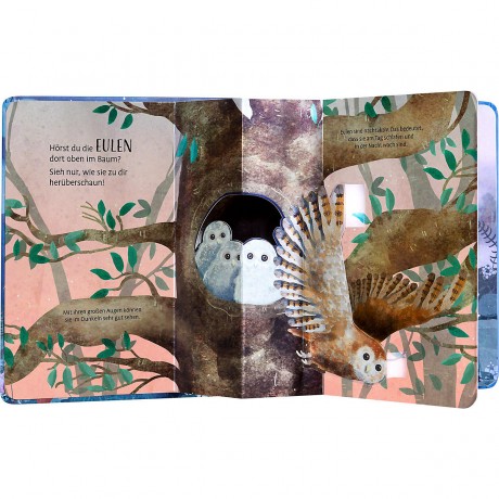Haba Mein Pop-up-Buch – Tiere in der Nacht Моя всплывающая книга